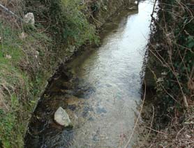 coclea idraulica